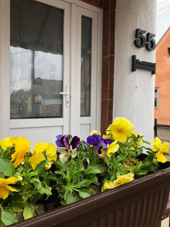 Krin Apartman Суботица Екстериор снимка